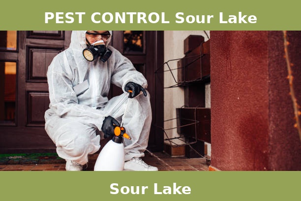 PEST CONTROL Sour Lake